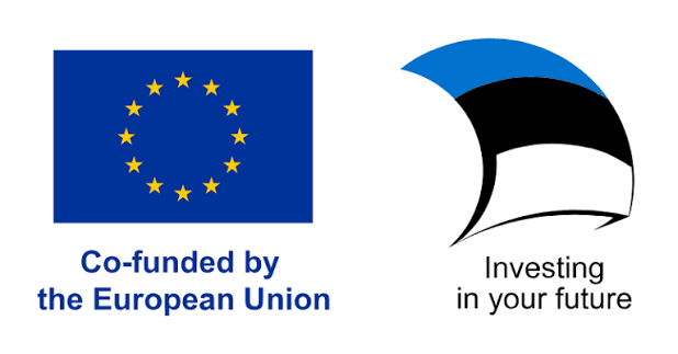Co-funded by the European Union — Investing in your future